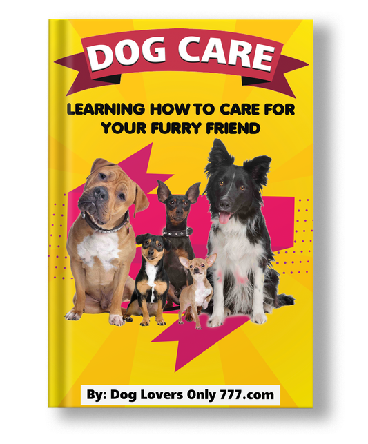 Dog Care: Learning How To Care For Your Furry Friend