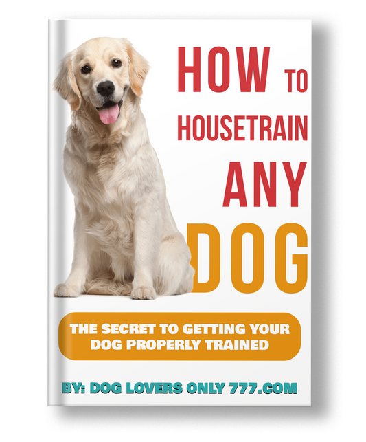 How To Housetrain Any Dog