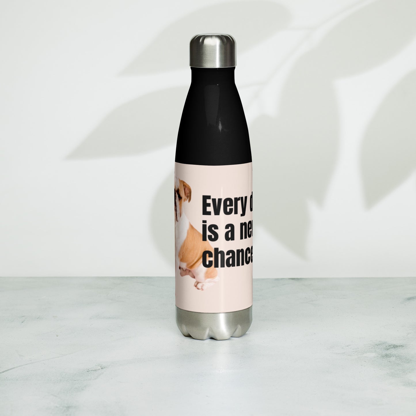 Stainless steel water bottle