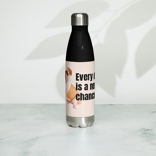 Stainless steel water bottle