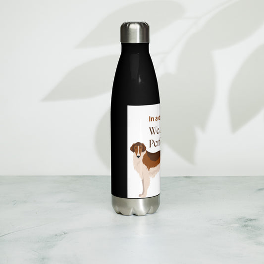 Stainless steel water bottle