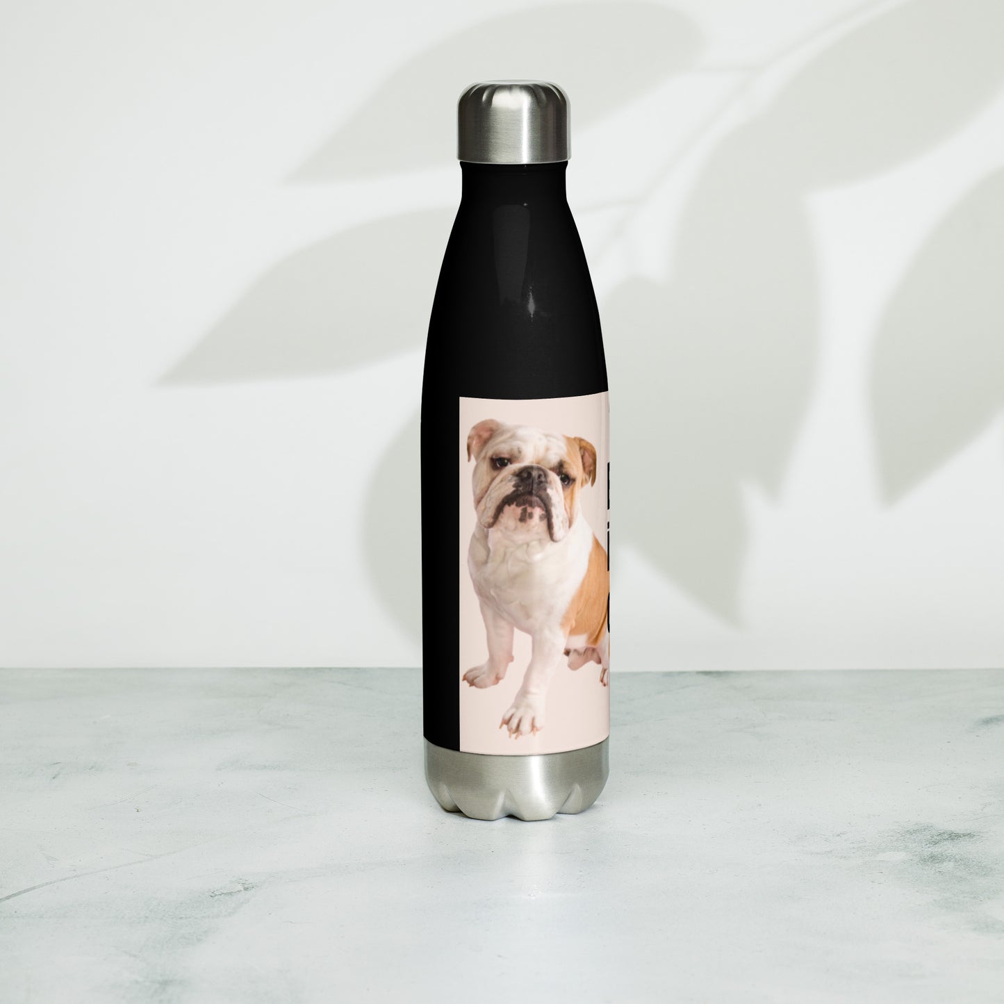 Stainless steel water bottle