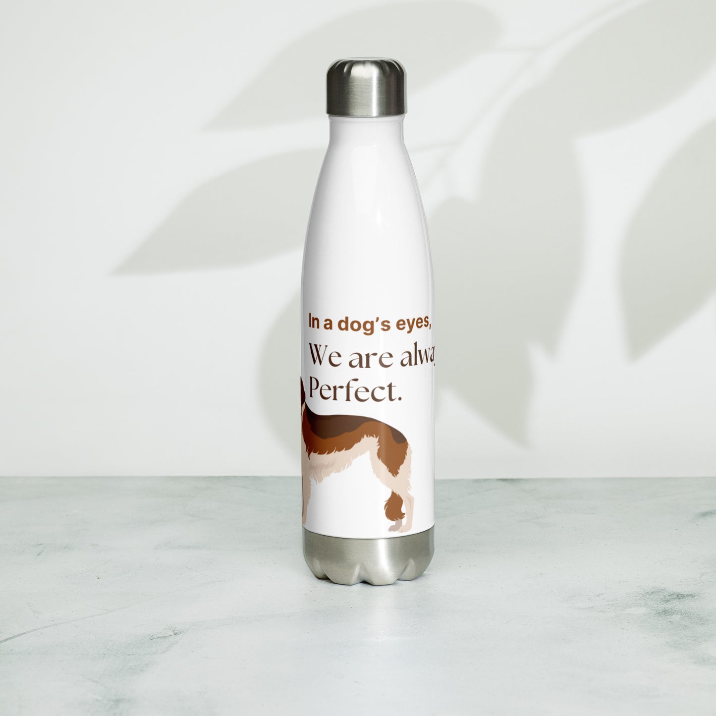 Stainless steel water bottle