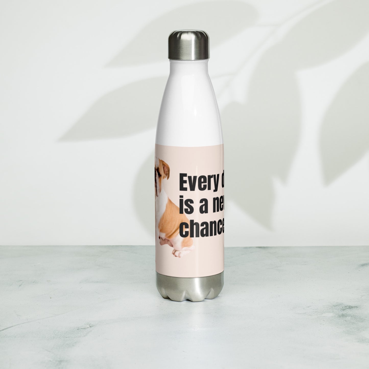 Stainless steel water bottle