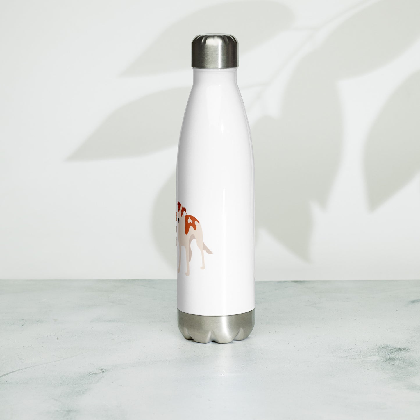 Stainless steel water bottle