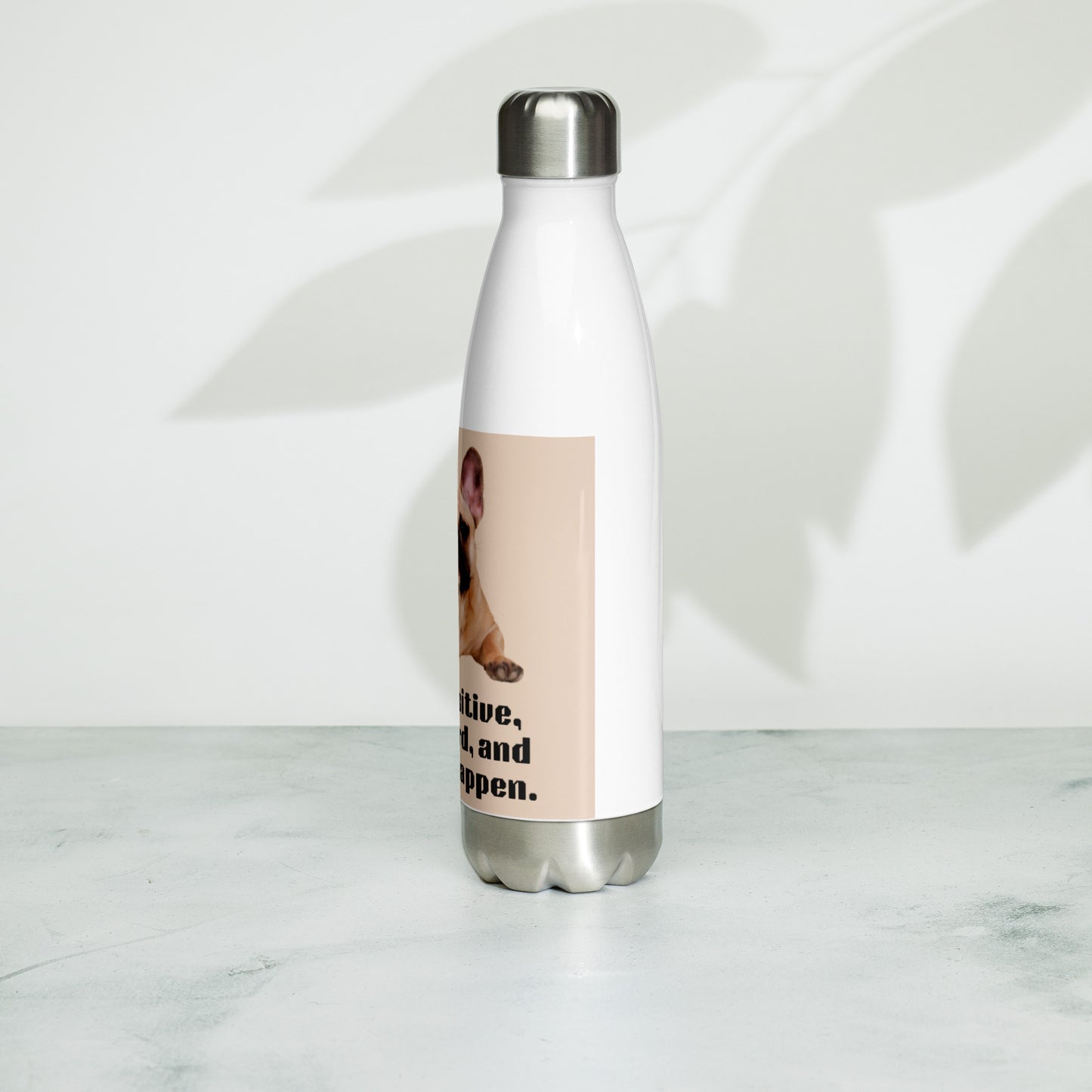 Stainless steel water bottle