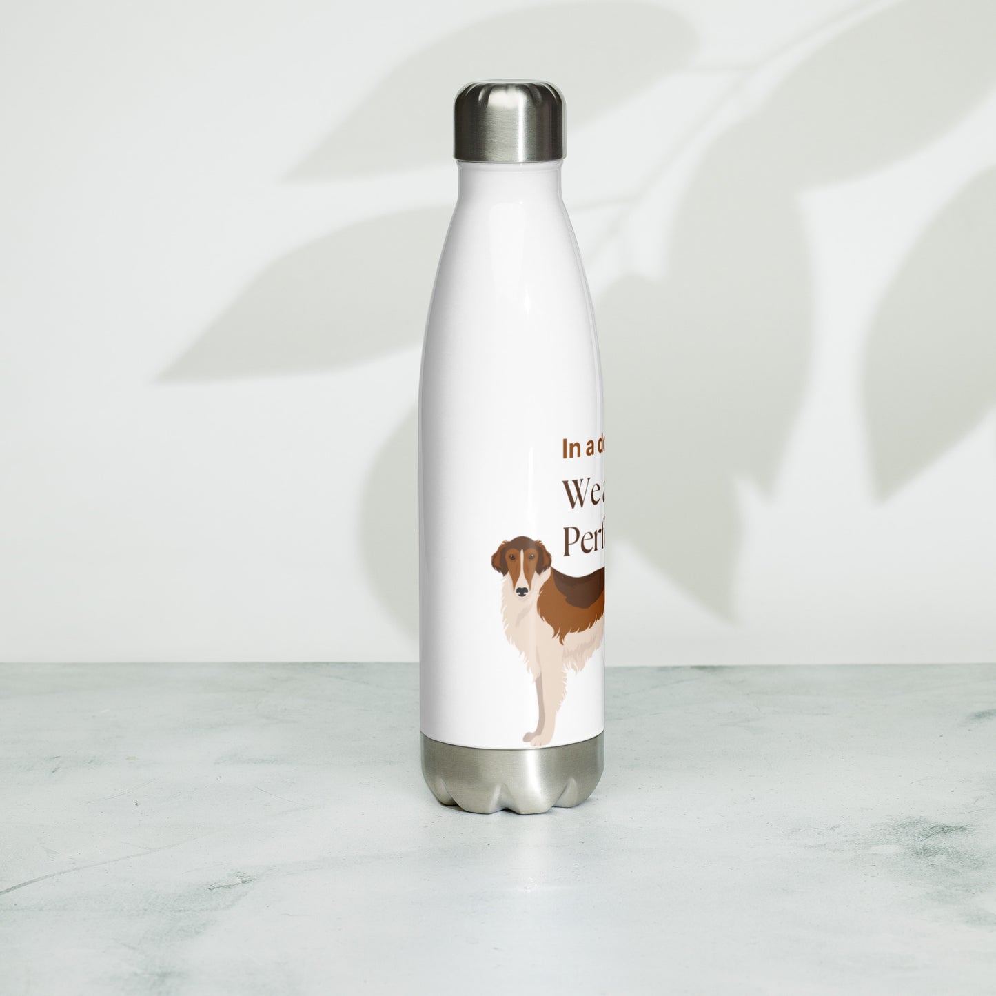 Stainless steel water bottle