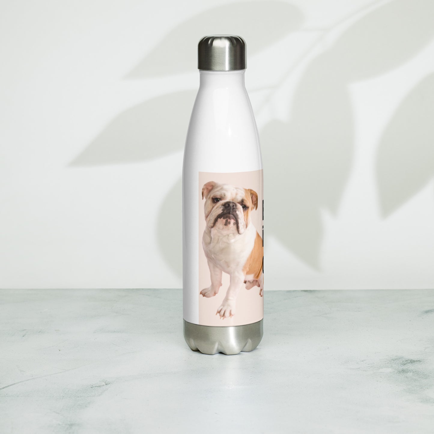 Stainless steel water bottle