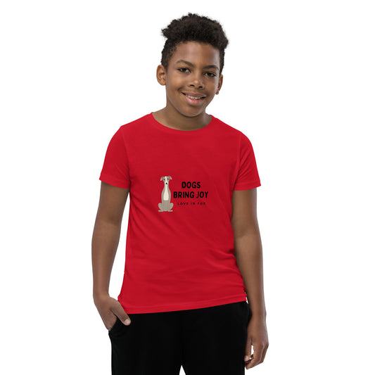 Youth Short Sleeve T-Shirt