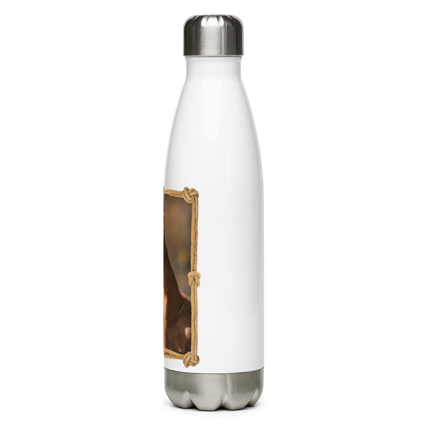 Chinese Shar-Pei (Steel Water Bottle)