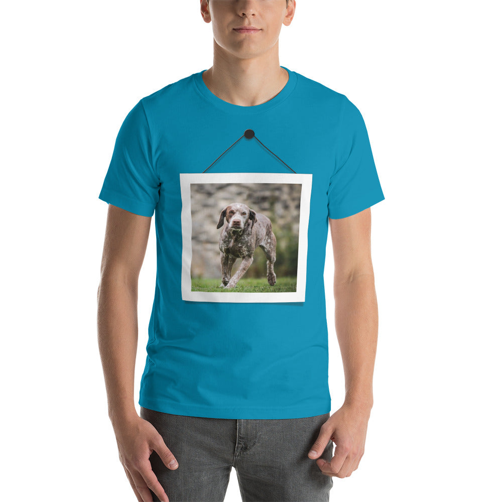 Braque du Bourbonnais (Men)