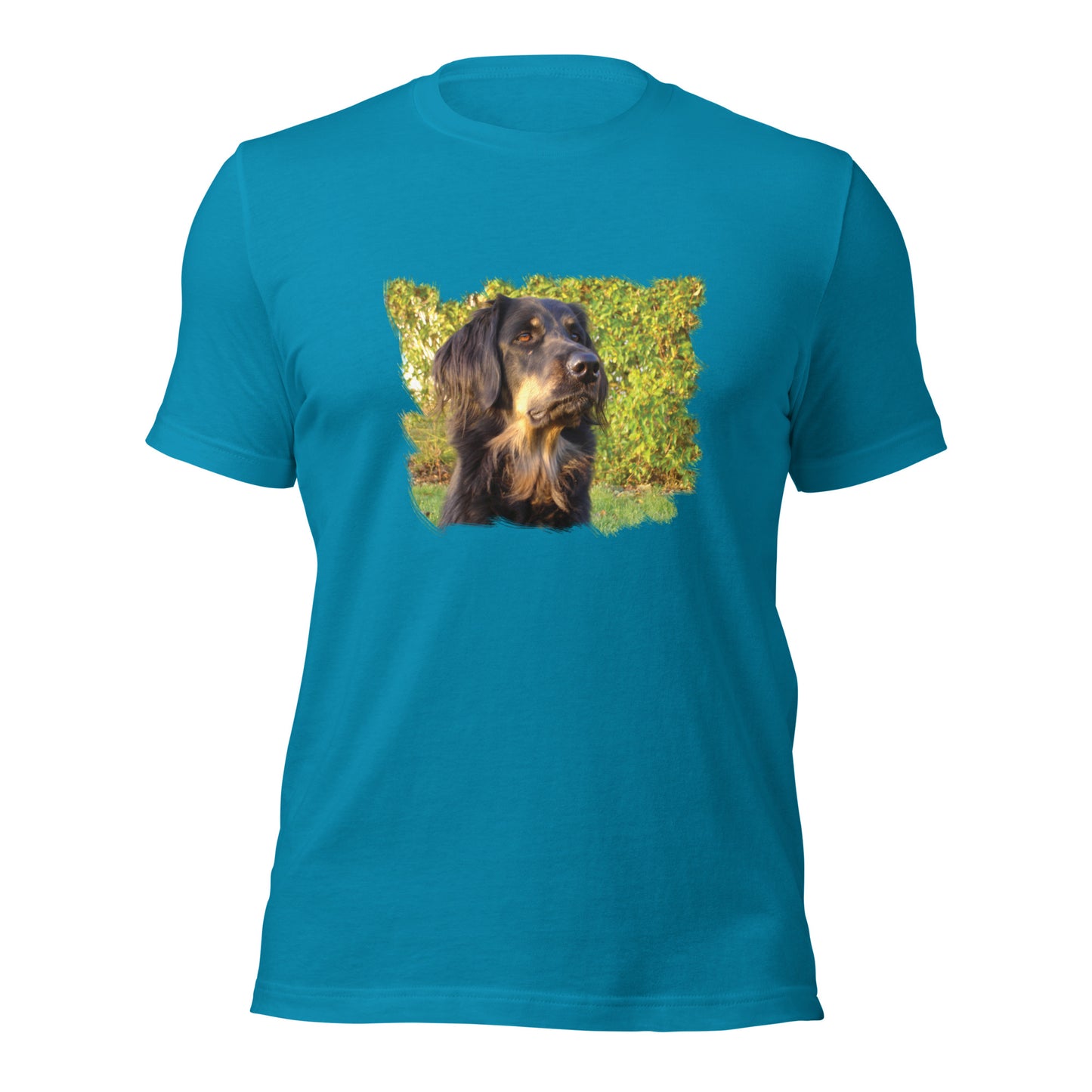 Boykin Spaniel (Men)