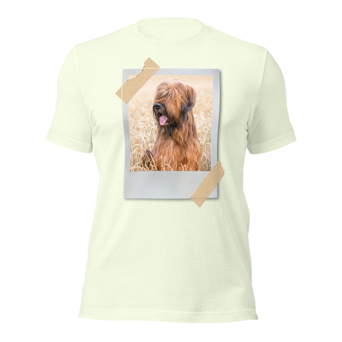Briard (Men)