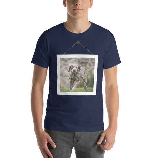 Braque du Bourbonnais (Men)