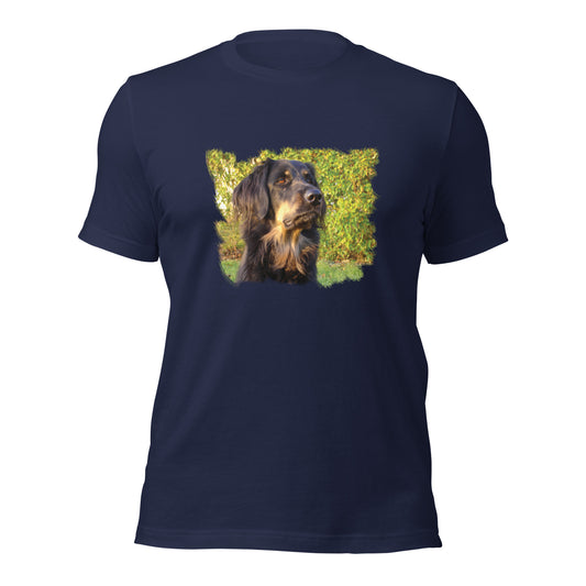 Boykin Spaniel (Men)