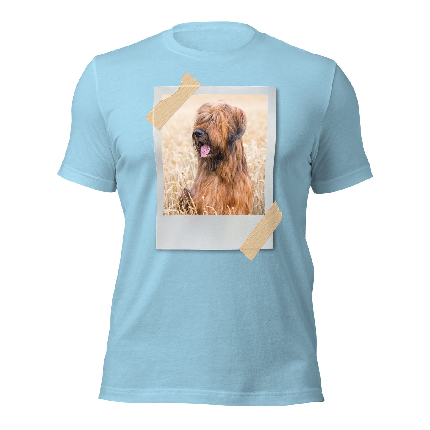 Briard (Men)