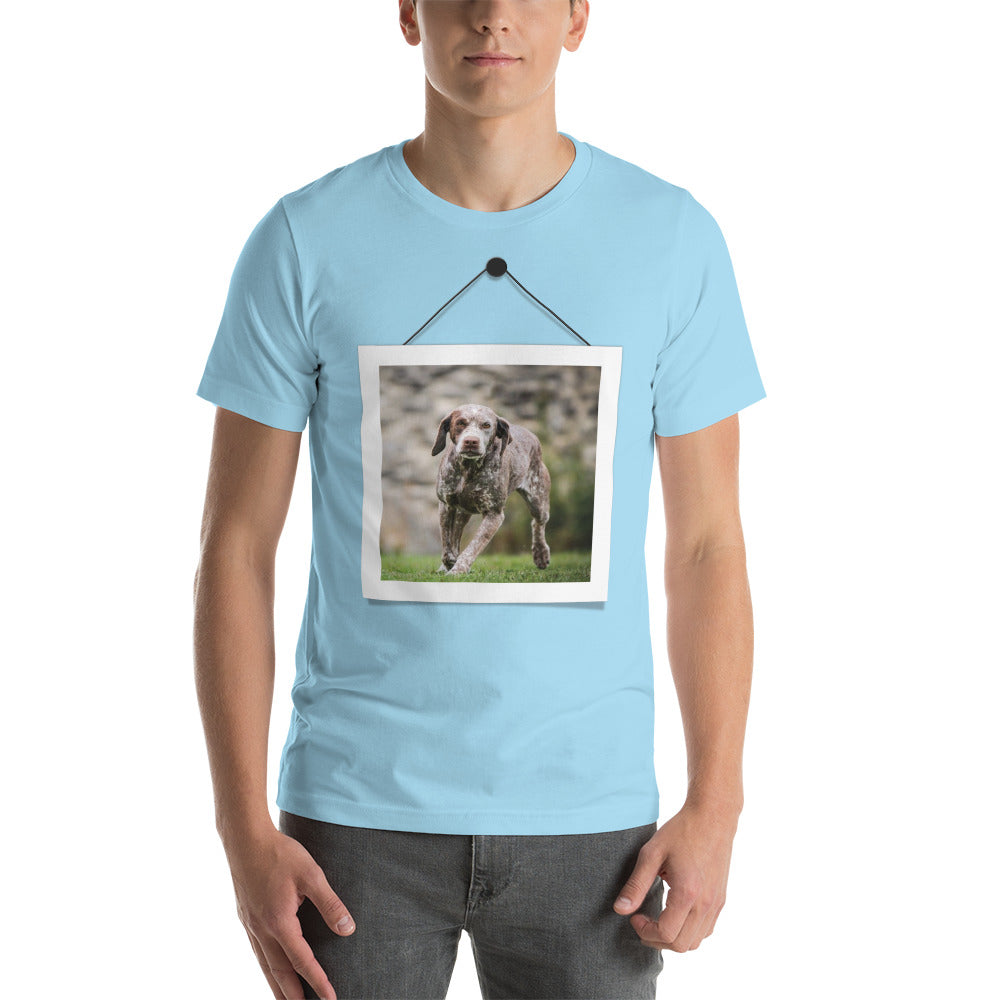 Braque du Bourbonnais (Men)