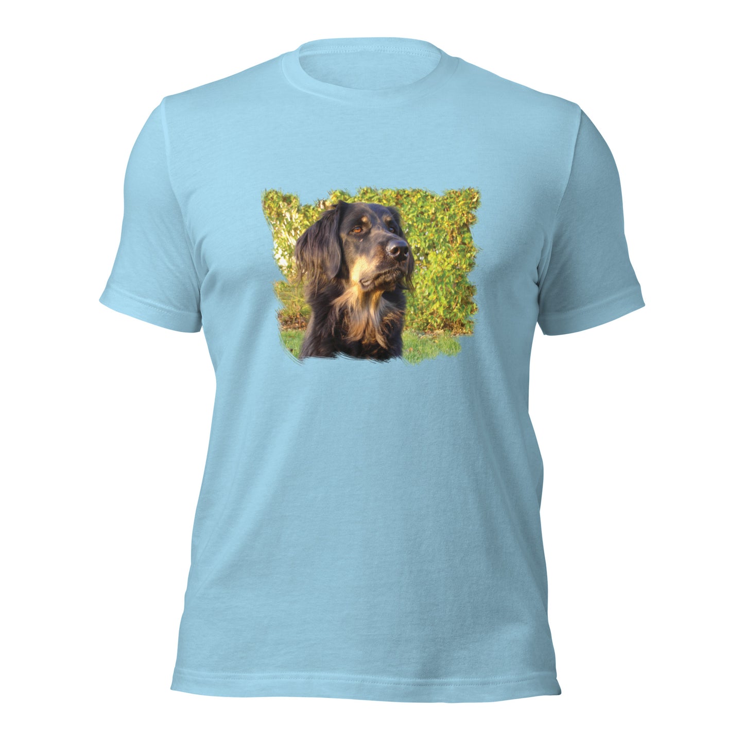 Boykin Spaniel (Men)
