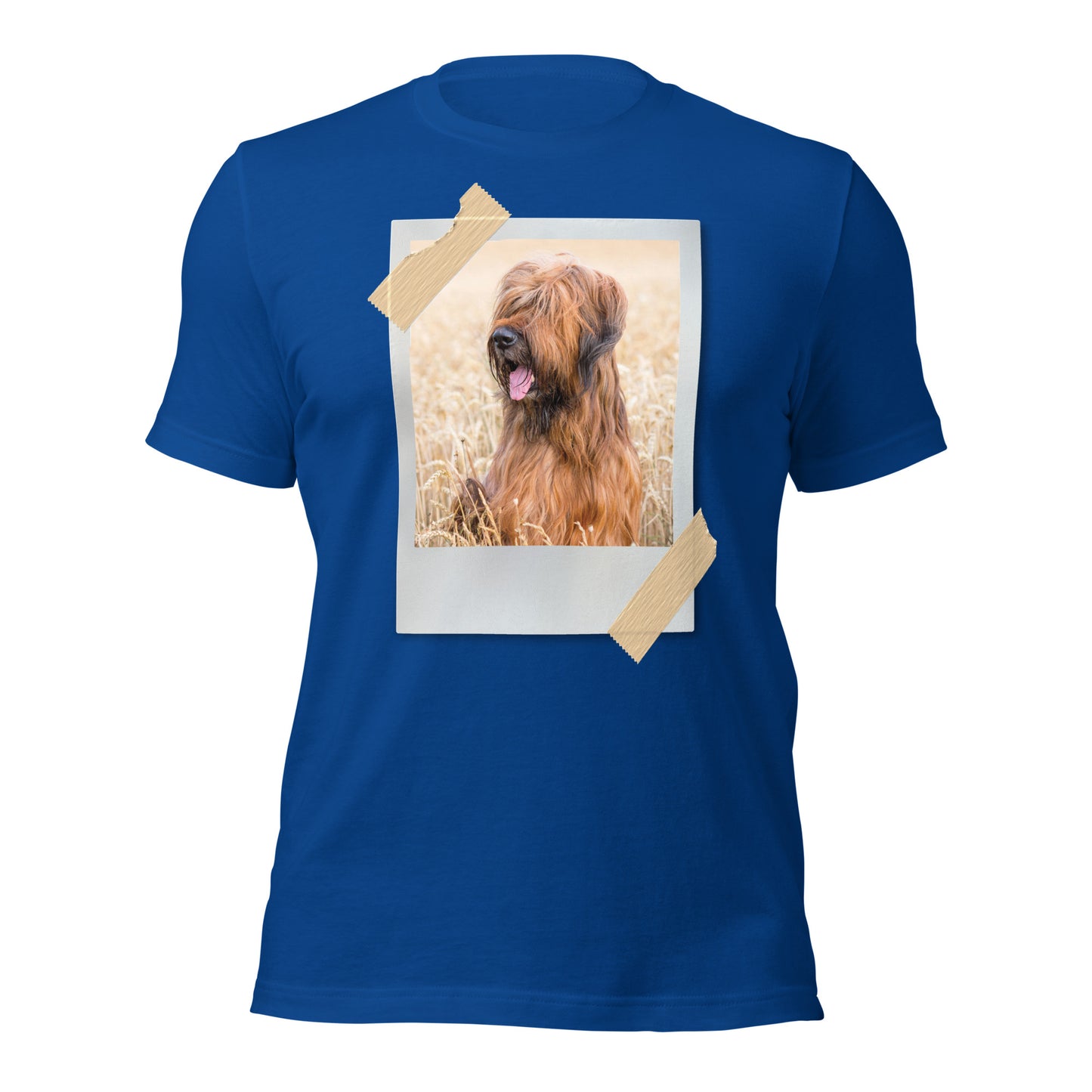 Briard (Men)