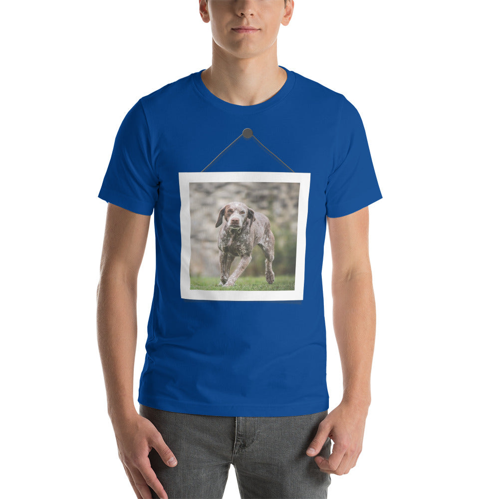 Braque du Bourbonnais (Men)