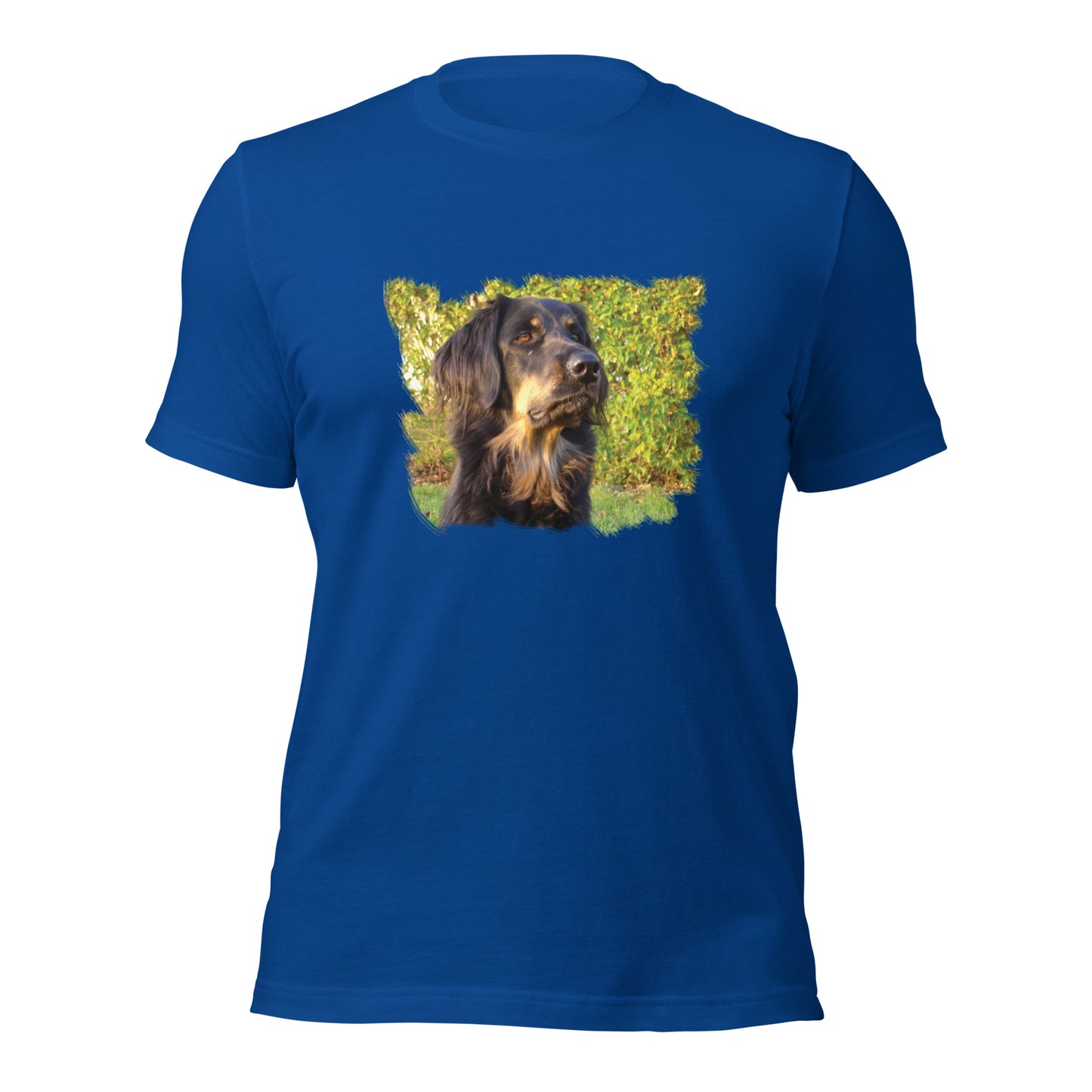 Boykin Spaniel (Men)