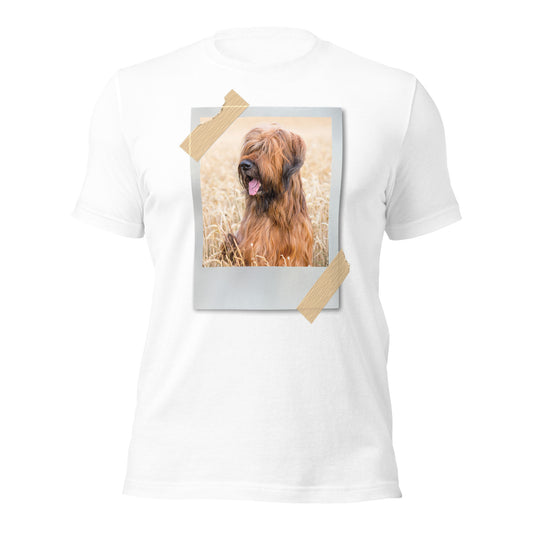 Briard (Men)