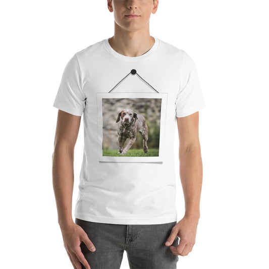 Braque du Bourbonnais (Men)