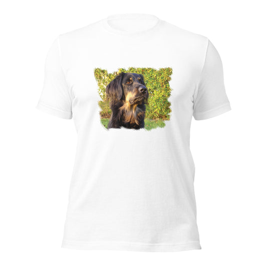 Boykin Spaniel (Men)