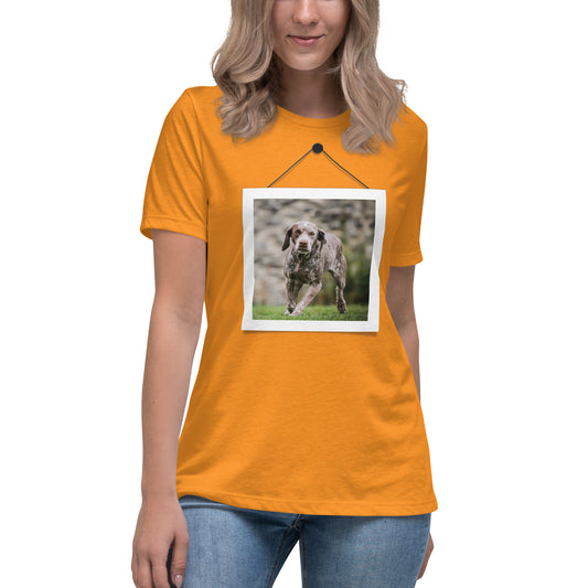 Braque du Bourbonnais (Women)