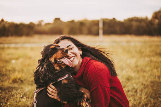 The Benefits of Adopting a Shelter Dog: Changing Lives, One Paw at a Time