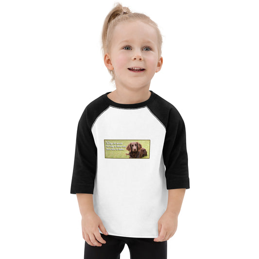 Toddler baseball shirt